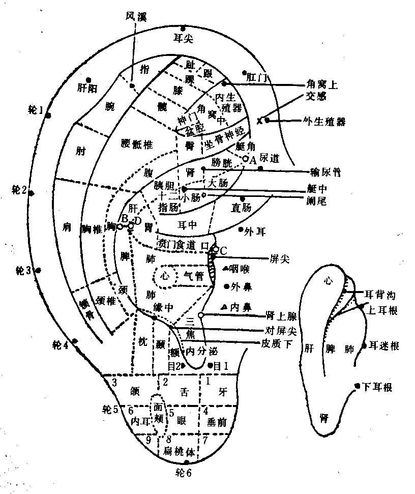 医学全在线网